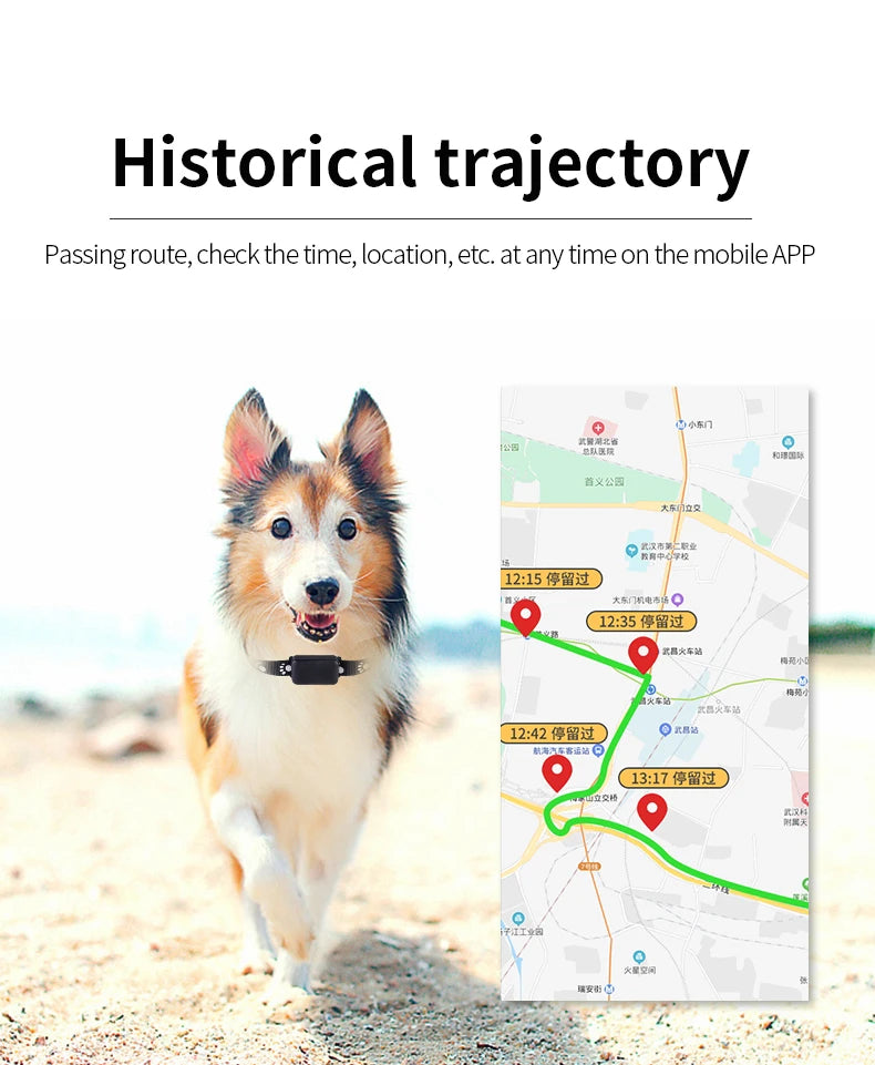 P03 Pet GPS Tracker RealTime Tracking Quadruple precise positioning App controlled for Dogs/Cats,Car, the elderly person Locator