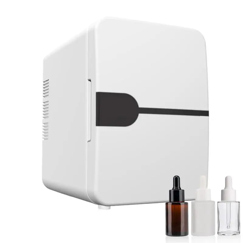 Portable Car Refrigerator 6L Thermal and Cool Fridge 12V DC 220V AC Camping Refrigerator Car Cooler Warmer for Driving Travel