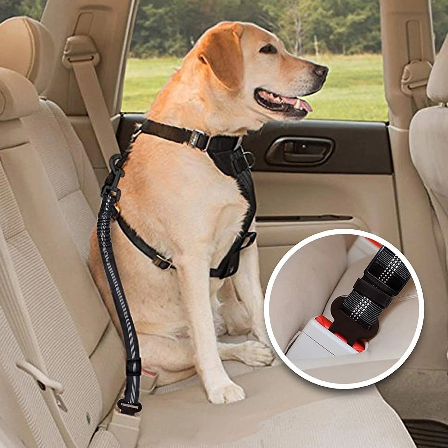 Top-grade Pet Car Safety Belt Dogs Cats Safety Belt Reflective Line Adjustable Seat Belt Length Suitable Any Dog Traction Collar