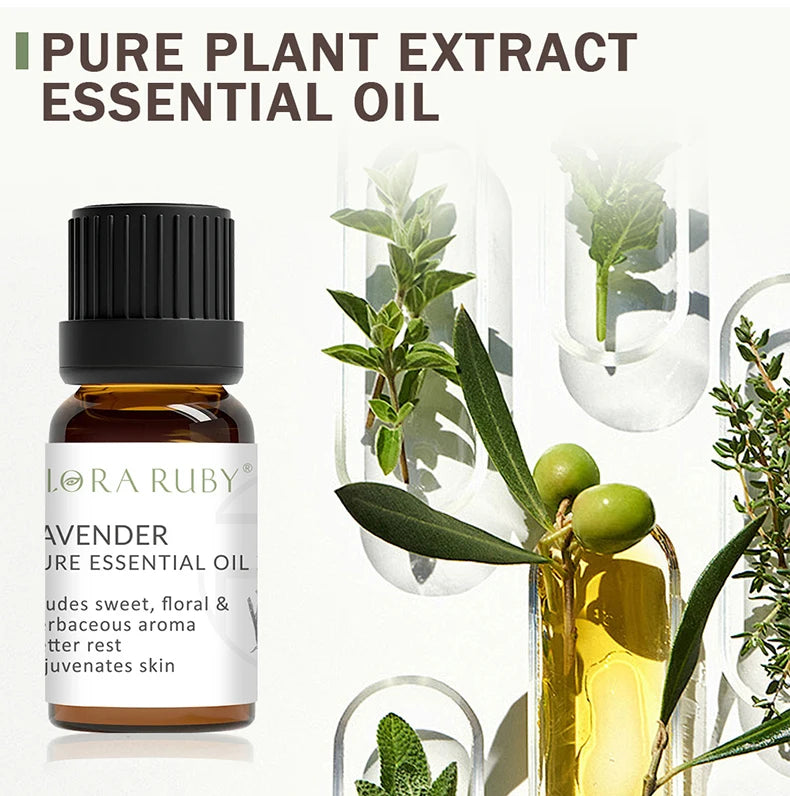 12 Essential Oils for Diffuser Essential Oil Aromatherapy Oils Home Care Essential Oils for Candle Making Oils Humidifier