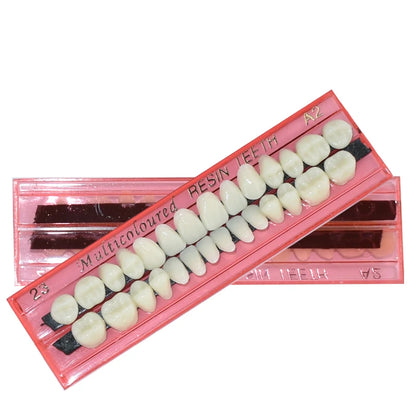 Dental Resin Denture 28Teeth Set with 3D Shade Guide Color Comparator Mirror for Bleaching and Dentistry Training