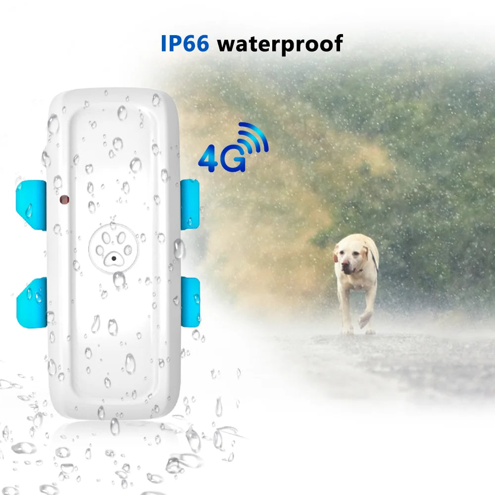 4G Pet GPS Tracker  Realtime Tracking Dog Cat  Animal Finder   GSM GPS Locator Crawler Geo-fence Free APP
