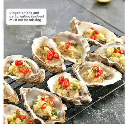 Portable Electric Garlic Chopper 100ml 250ml USB Vegetable Grinder Kitchen Garlic Masher Food Processor Tool