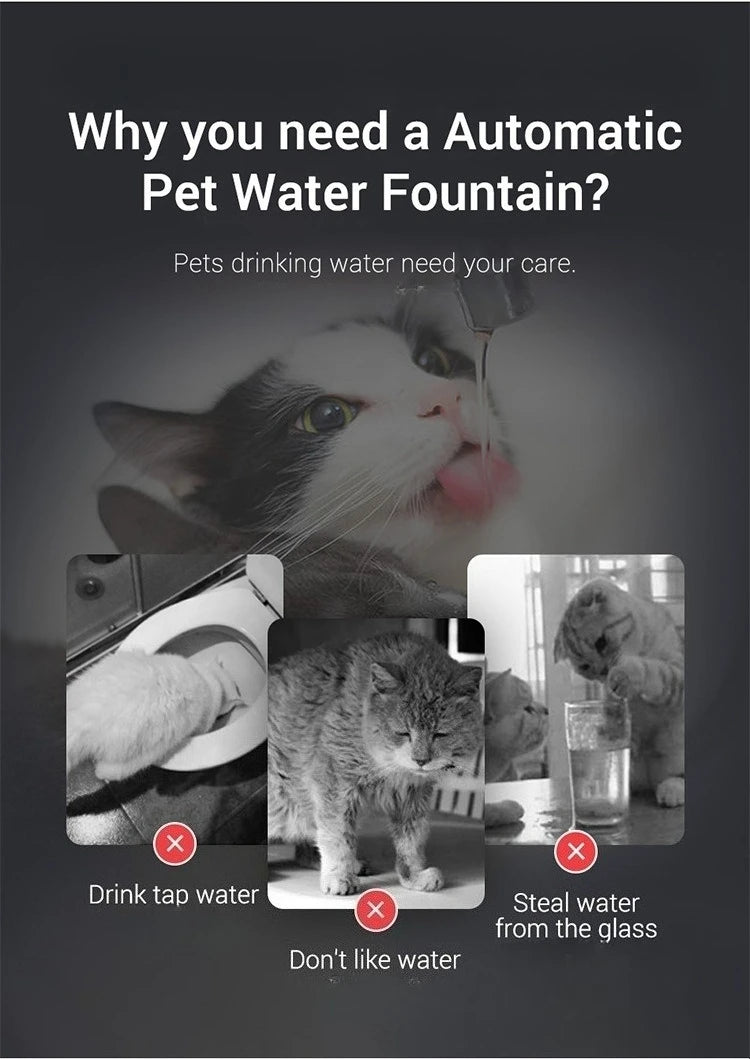 Auto Smart Cat Water Fountain Quiet Tilted Design Energy Efficient Pet Drinker for Fresh Water Circulation