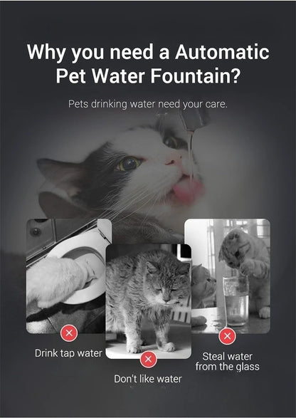 Auto Smart Cat Water Fountain Quiet Tilted Design Energy Efficient Pet Drinker for Fresh Water Circulation