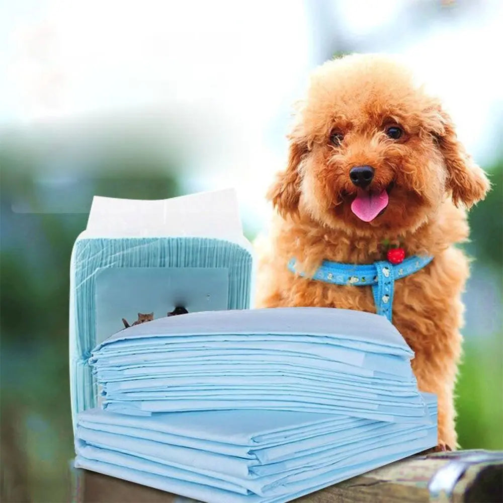 Disposable Indoor Small Toilet Pets Puppy 20 Pieces Dog Absorbent Diapers Mat Pee Pads