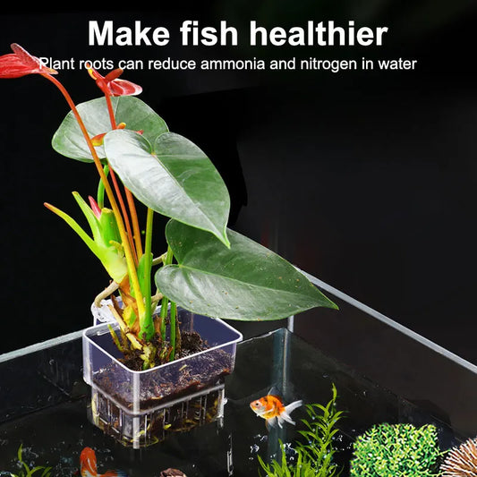 Fish Bubbles Aquarium Water Grass Cup Multiple plant hydroponics Hydroponic planting basket For fish tank landscape