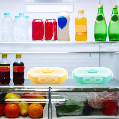 4pcs Refrigerator Organizer Food Storage Container with Lid Handle Fresh-Keeping Box Case Fridge Reusable Crisper Storage