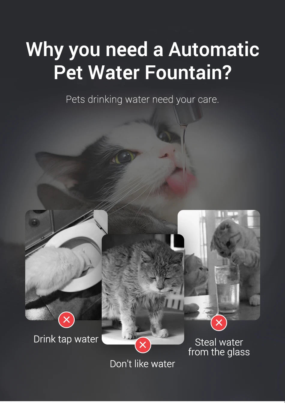 ROJECO Automatic Cat Water Fountain Smart Pet Water Dispenser with Pump for Dog Rechargeable Drinking Filter Cat Drinking Supply