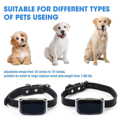 GPS Trackers IP67 Waterproof Pet Collar GSM AGPS Wifi LBS Mini for Pets Dogs Cats Sheep Cattle Tracking Locator GPS Accessories