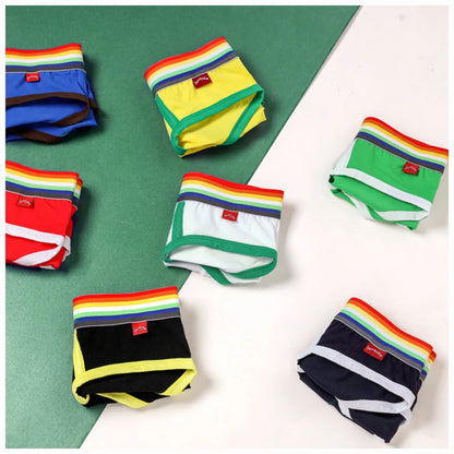Sexy Mens Underwear Rainbow Belt Briefs Fashion Cotton Panties Youth Breathable Underwear Briefs Low Waist Underpants For Male