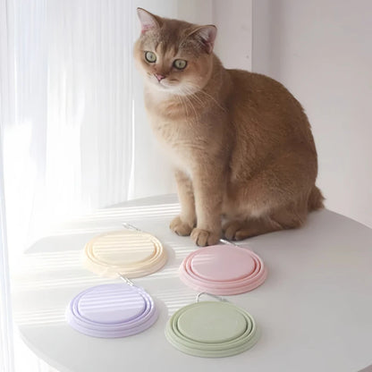 350/650ml Collapsible Pet Travel Bowl Leakproof Silicone Dog & Cat Food Water Dish Portable Outdoor Feeder with Carabiner Clip