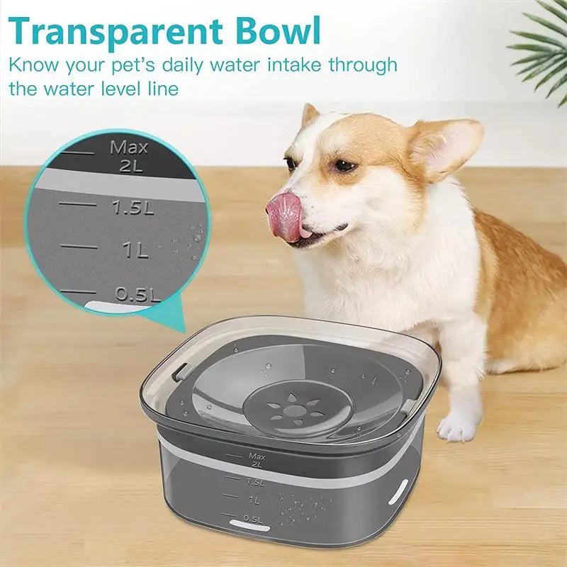 Pet Supplies Cat Water Bowl Dog Drinking Bowl Pet Floating Cat Bowl Splash-proof  Transparent Large Capacity 2L Water Dispenser
