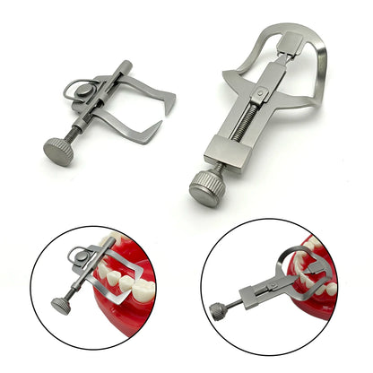 Dental Teeth Separator Dividor Wedge Retainer Anterior Teeth Posterior Teeth Orthodontic Matrix Rubber Dam Dentist Oral Care