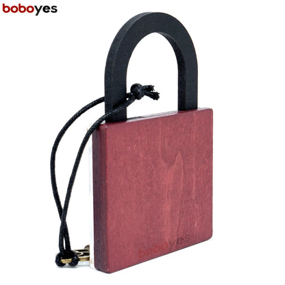 High Difficulty Level IQ Lock Puzzle Classic Wooden Brainteaser Puzzles Game for Adults The Einstein Collection Lock Puzzle