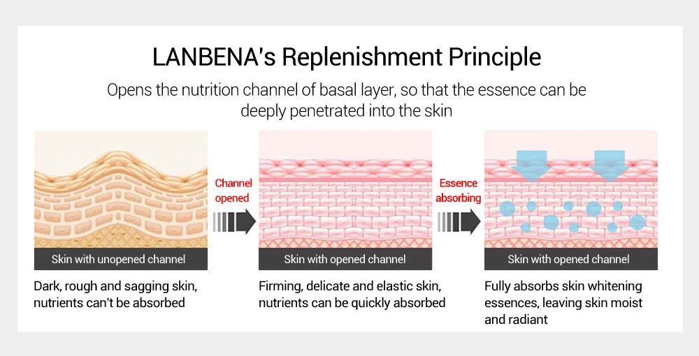 LANBENA Facial Hyaluronic Acid Serum  Skin Care