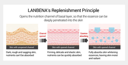 LANBENA Facial Hyaluronic Acid Serum  Skin Care