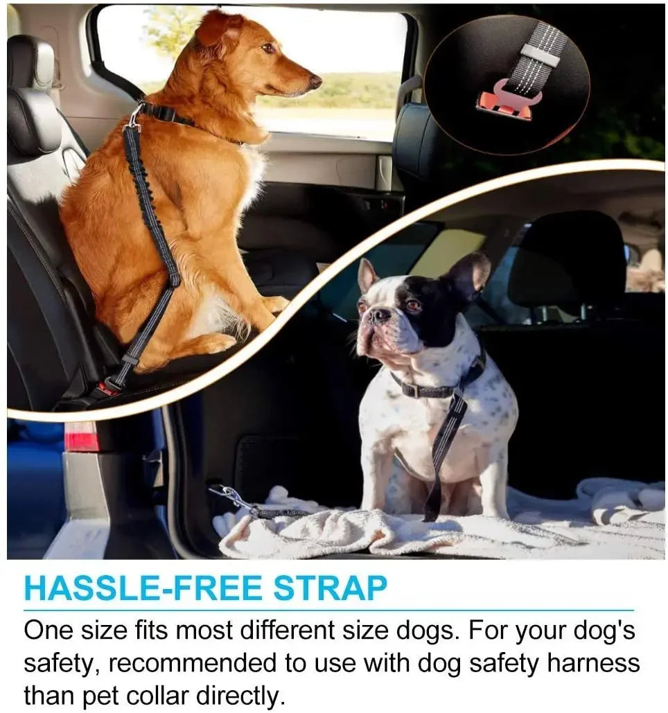 Retractable Pet Car Seat Belt - Securing the Dog During Travel - Adjustable Harness and Belt - Essential Car Travel Supplies