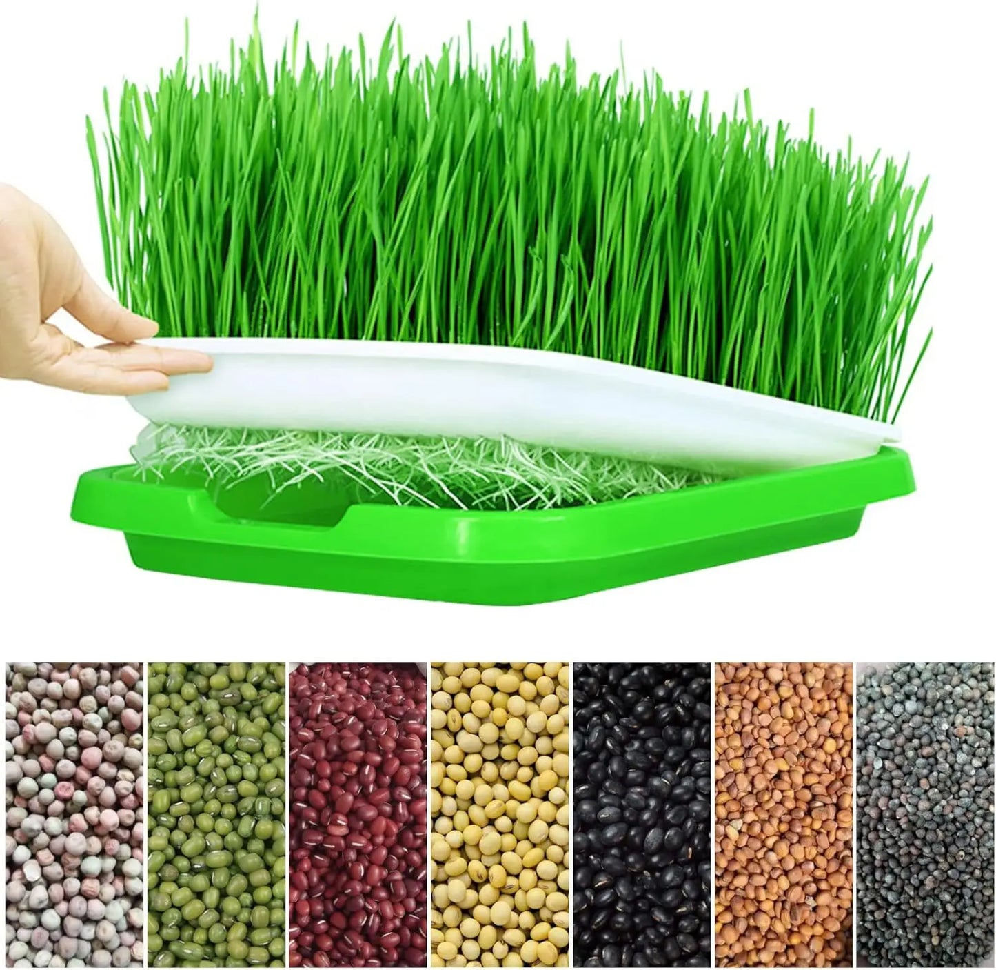 Microgreens Sprouter Tray Hydroponic / Sprouting Tray For Sprout Horticultural Hydroponic Systems Tray Garden Nursery Potted Mic