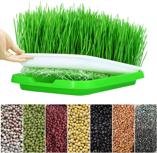 Microgreens Sprouter Tray Hydroponic / Sprouting Tray For Sprout Horticultural Hydroponic Systems Tray Garden Nursery Potted Mic