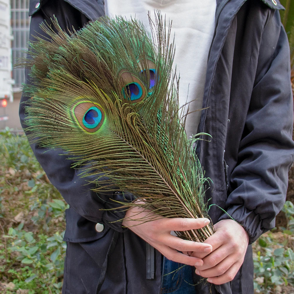 Natural Peacock Feathers 25-70cm for Crafts, Wedding Decorations, Home Décor, Fashion Accessories, and Party Decorations