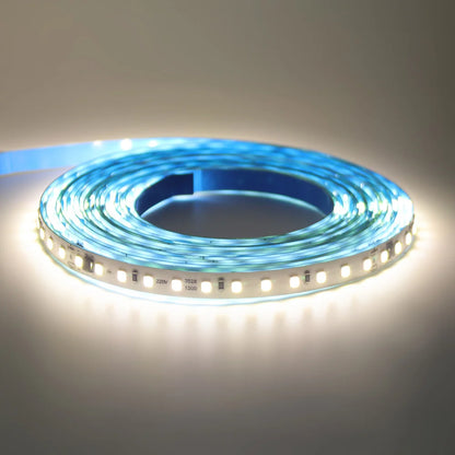 5m 10m 20m 50m LED Strip Light AC 220V 230V 240V IP55 2835 120 LEDs Flexible Ribbon Rope Lights Tape 9 Colors Home Decoration