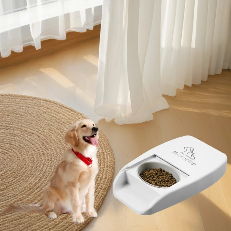 NEW Smart Microchip RFID Pet Feeder Bowl For Cats Dog And Multi Pets Homes Intelligent Automatic Timed Cat Food Dispenser
