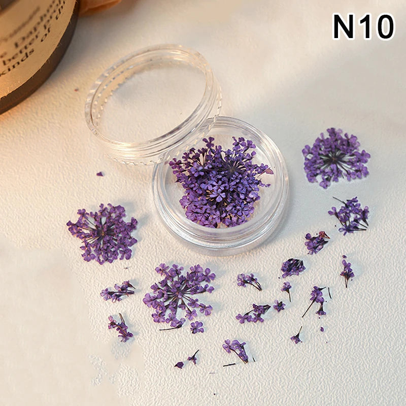 1 Box Nail Art Flower Decoration Delicate Dried Flower Nail Art Decorations Exquisite Nail Art Beauty For Charms Accessories