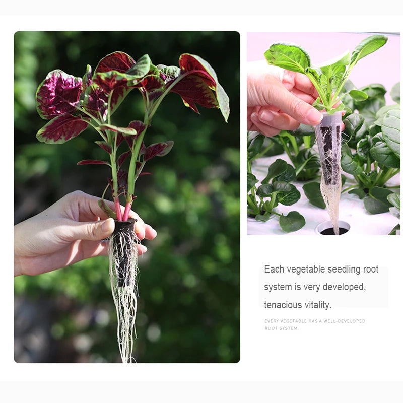 20 Hole Hydroponic Plant Seedling Pots with Intelligent Fill Light Seedling Tray for Fruit Vegetable Gardening Planting Supplies