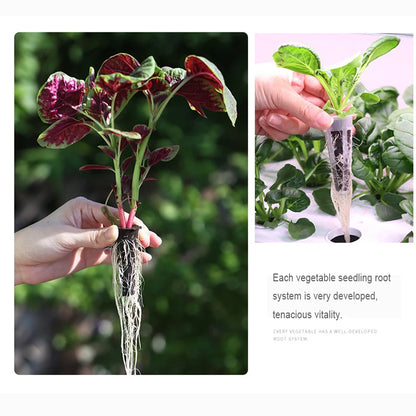 20 Hole Hydroponic Plant Seedling Pots with Intelligent Fill Light Seedling Tray for Fruit Vegetable Gardening Planting Supplies