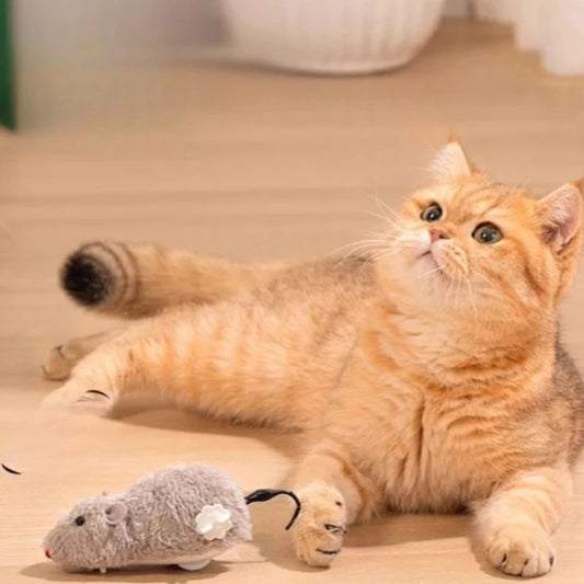 Interactive Cat Toy Electric Mouse Plush Automatic Teaser Kitten Toy Intelligent Obstacle Avoidance Pet Toy Cat Supplies