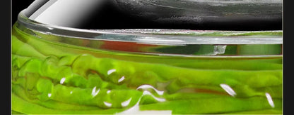 Traditional Fermenting Kit Crock with Water Seal Airlock Lid, for Pickles Kimchi Sauerkraut,Glass Jar with Lid Fermentation Jar