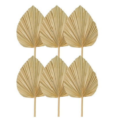 6PCS Dried Palm Leaves Natural Dried Palm Fans,Large Palm Spear For Boho Wedding Decor,Tropical Palm Leaves Decoration Durable S