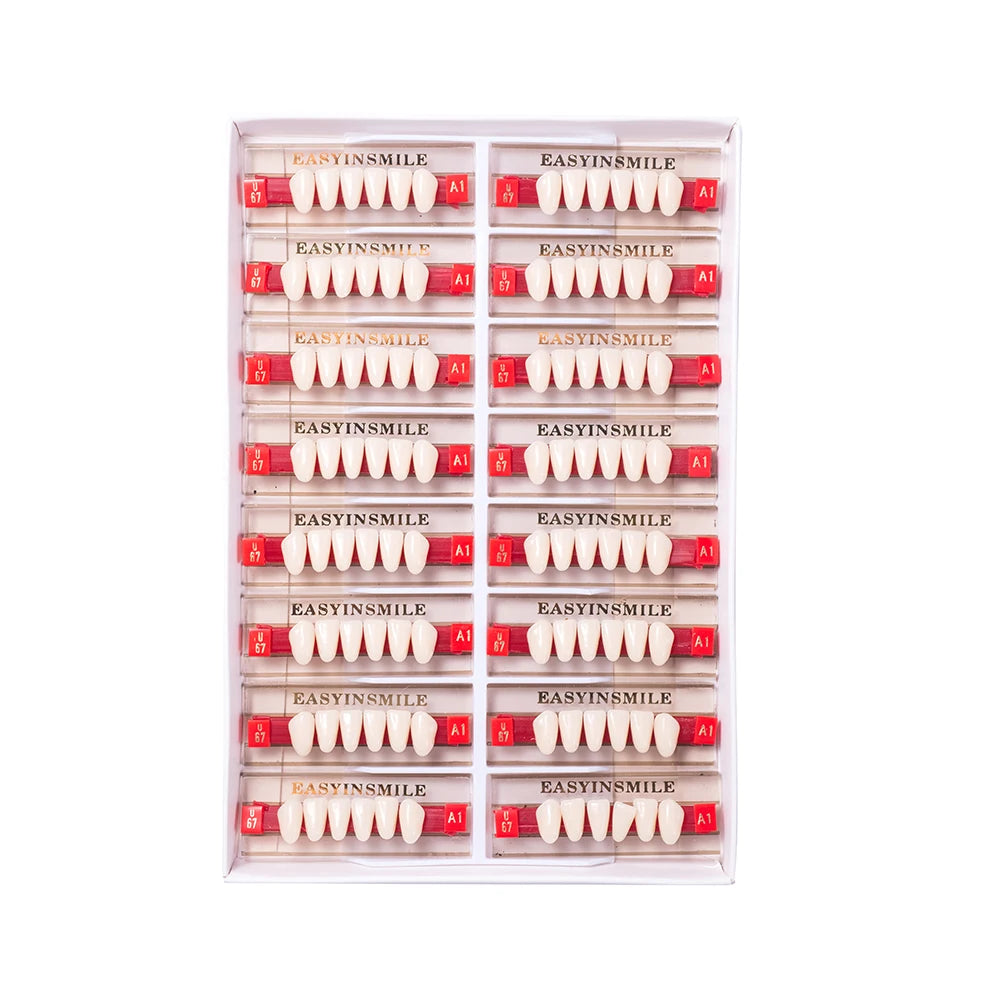 16/12 Sets/ Box Dental Teeth Anterior Posterior Polymer Denture acrylic Tooth A2 A3 2 Layers Dentistry Materials Education Model