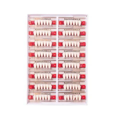 16/12 Sets/ Box Dental Teeth Anterior Posterior Polymer Denture acrylic Tooth A2 A3 2 Layers Dentistry Materials Education Model