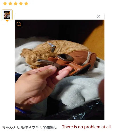 Pet Dog Cat Water Dispenser Nozzle Hanging Bottle Water Beverage Fountain Head Leak-Proof Feeder Bowl Pet Feeding Device 강아지 급수기