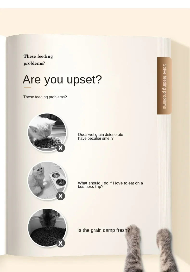 Pet Automatic Feeder with Timer Smart Food Dispenser for Dogs Cats Water Bowl Storage Container Puppy Kitten Feeding Accessories