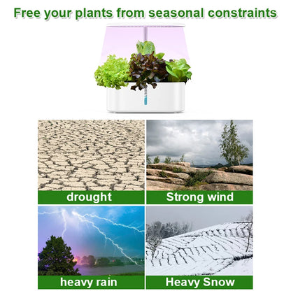 Hydroponics Growing System Indoor Garden Herb Garden Kit Indoor with LED Grow Light Quiet Smart Water Pump Automatic Timer Plant