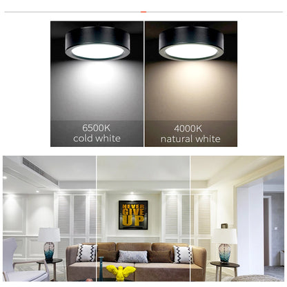 LED Ceiling Light 5W 10W 15W 18W 24W Surface Mounted Downlight Ceiling Lamp for Living Room Kitchen 220V Spotlight Panel Lights