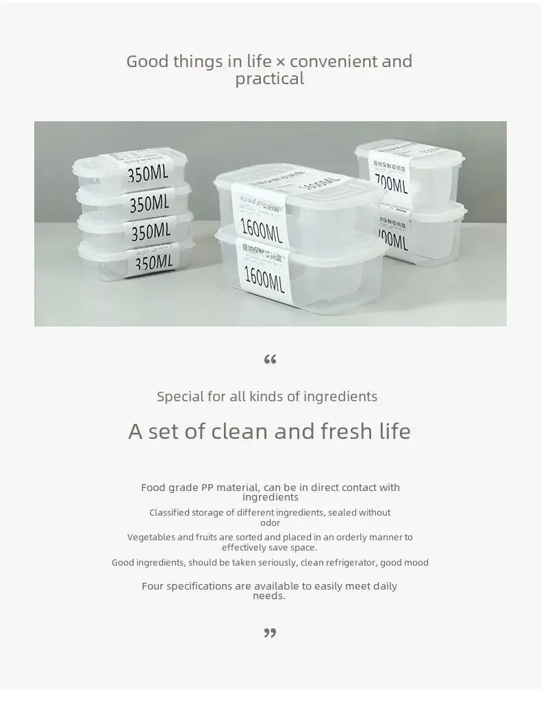 Modern Simple Style Portable Fridge Classification Preservation Box Meat Box Cold Storage Bento Onion Garlic Sub-box