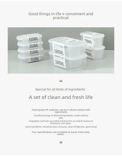 Modern Simple Style Portable Fridge Classification Preservation Box Meat Box Cold Storage Bento Onion Garlic Sub-box