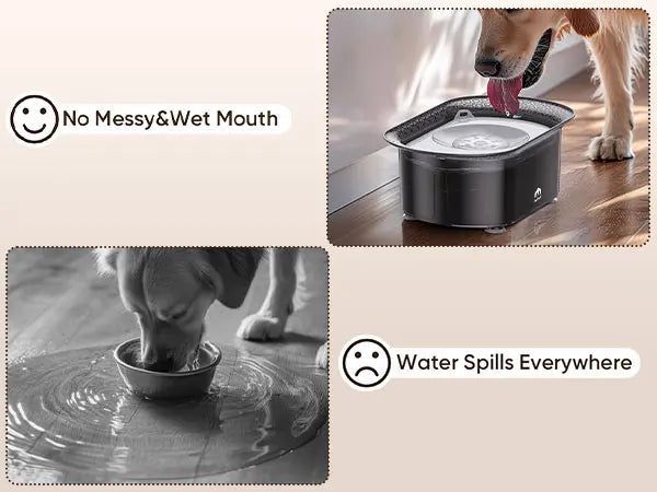 PETPATH No Spill Dog Water Bowl 2.2L (75oz) Large Capacity Anti-Splash Design – Reduces Refill Frequency for All Dogs