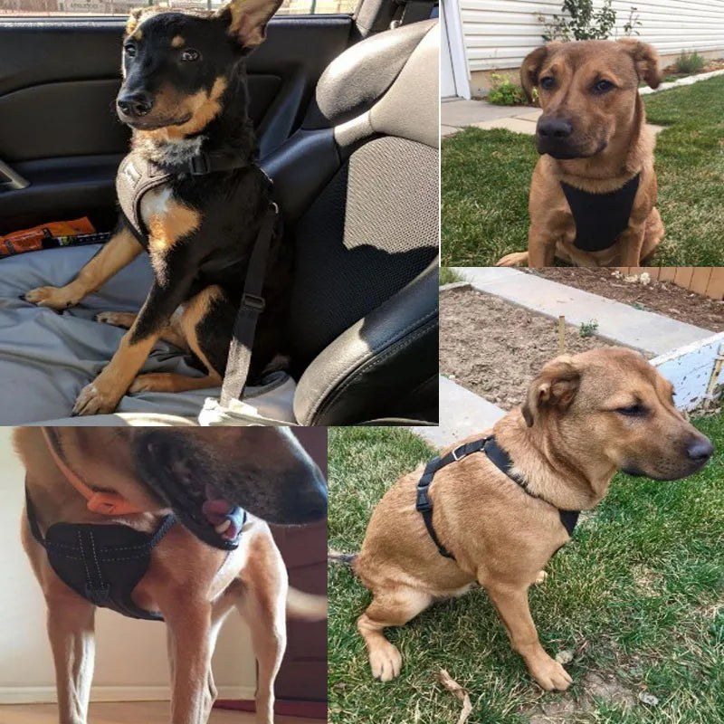 Dog Car Safety Chest Seat Belt Pet Harness Adjustable Vehicle Breathable Safe Dogs Belt Harness Walking Harness With Belt Leash