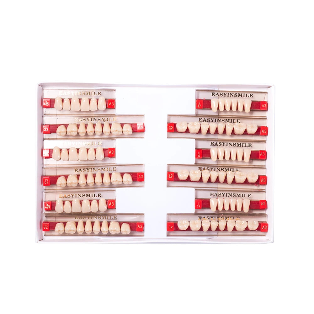 16/12 Sets/ Box Dental Teeth Anterior Posterior Polymer Denture acrylic Tooth A2 A3 2 Layers Dentistry Materials Education Model