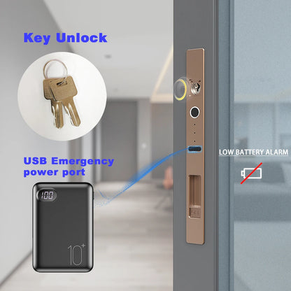 Sliding Door Smart Lock Biometric Fingerprint Lock Tuya Smart Home Bluetooth Remote Control