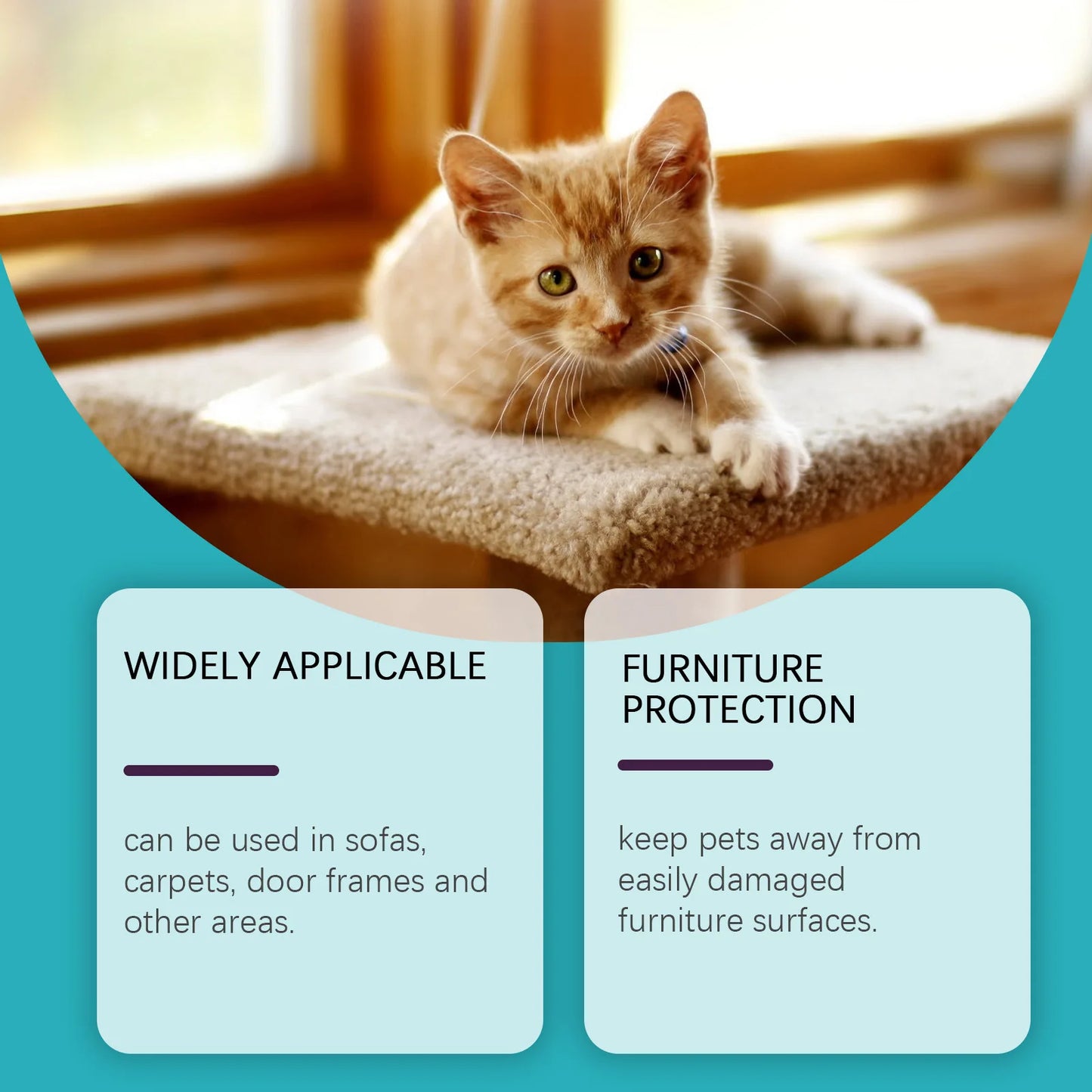 Advanced Pet Scratch Repellent Spray Safe for Cats Dogs Protects Furniture Carpets Drapes Bitter Formula Stops Scratching