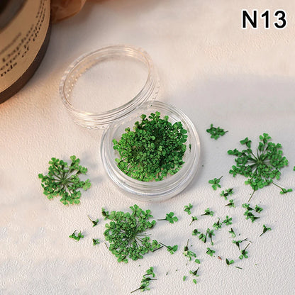 1 Box Nail Art Flower Decoration Delicate Dried Flower Nail Art Decorations Exquisite Nail Art Beauty For Charms Accessories