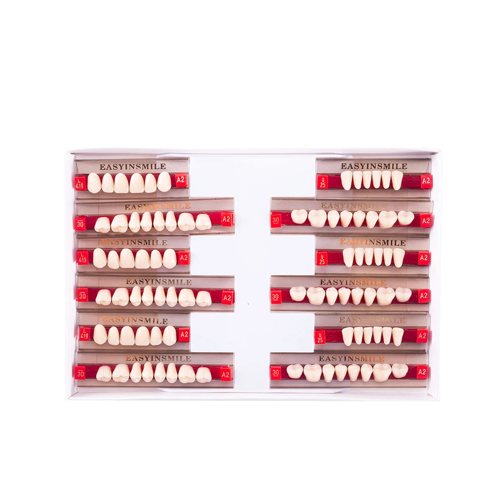 16/12 Sets/ Box Dental Teeth Anterior Posterior Polymer Denture acrylic Tooth A2 A3 2 Layers Dentistry Materials Education Model