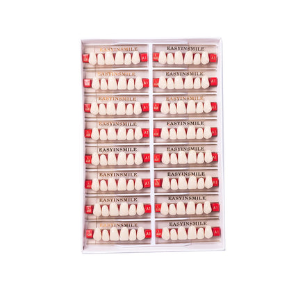 16/12 Sets/ Box Dental Teeth Anterior Posterior Polymer Denture acrylic Tooth A2 A3 2 Layers Dentistry Materials Education Model