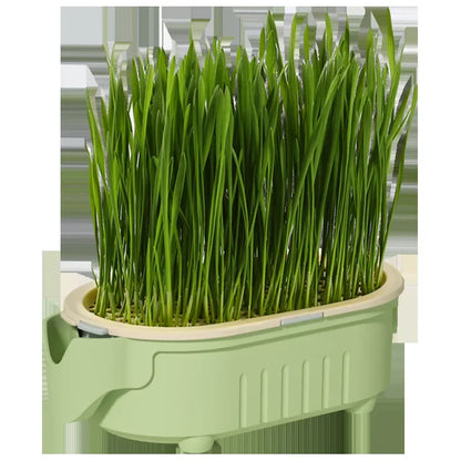 Hydroponic Natural Cat Grass Growing Kit-Organic Wheat Grass Seeds For Digestive Health & Hairball Control,With Potting Soil Set